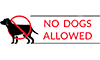 Accebility Icon